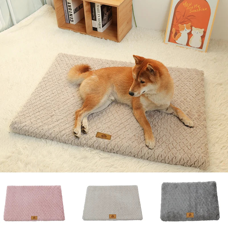 Pet Products